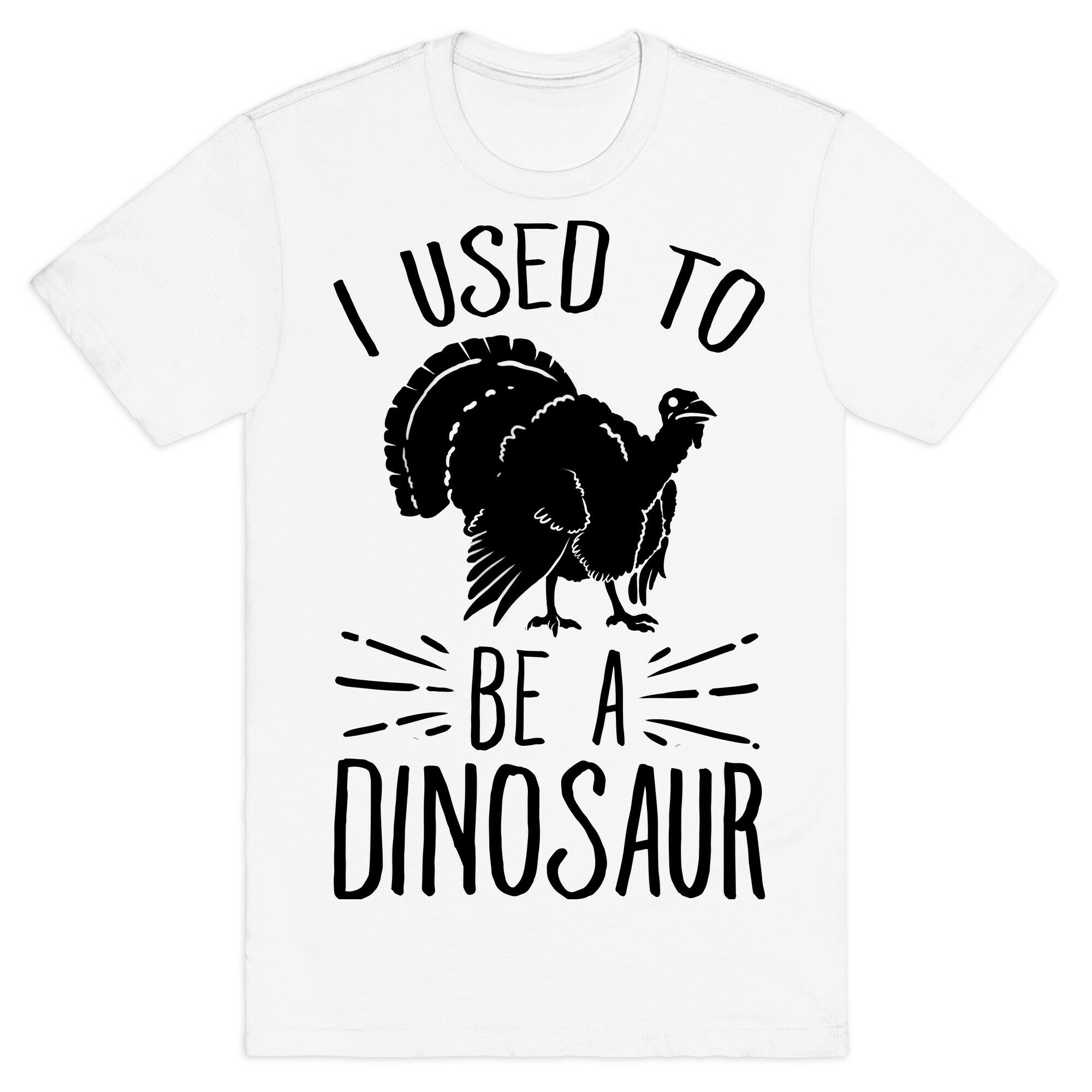 I Used to Be a Dinosaur T-Shirt
